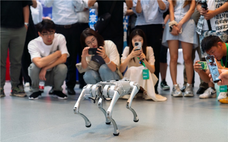  Let Robots Enter Urban Life Xiong'an International Service Robot Competition Finals Open