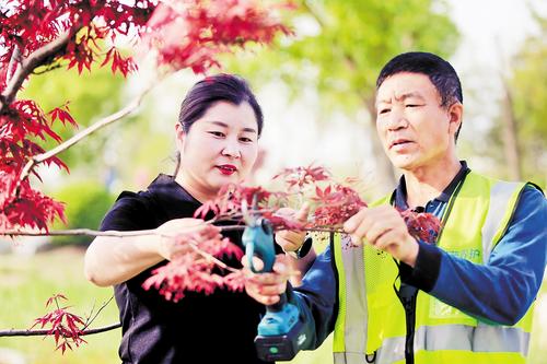 4月19日，雄安集团生态建设投资有限公司副总经理、园林事业部部长武芳芳（左）在雄安新区悦容公园指导园林工人为树木进行剪枝。