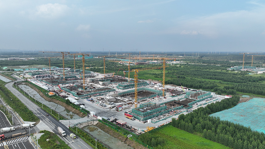 1112025年8月北京林业大学。校方供图