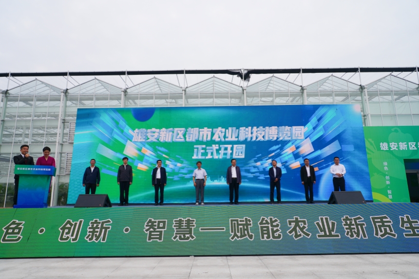 未命名文件_副本