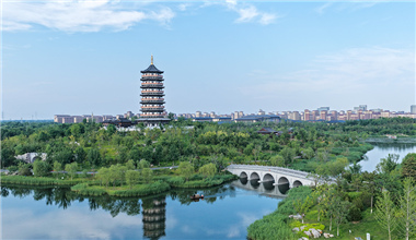 我在雄安建公园