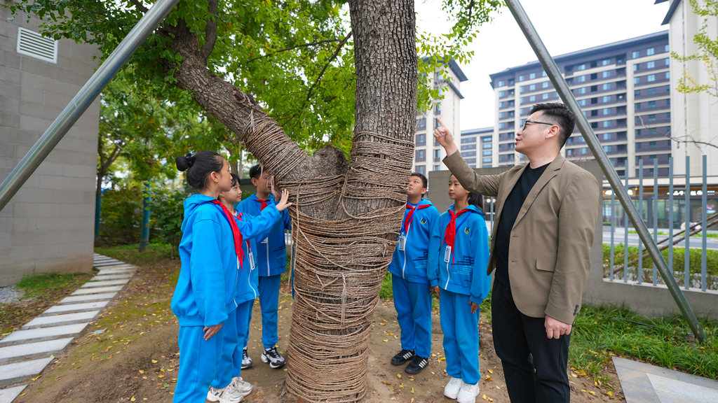 10月16日,雄安史家胡同小学,雄安新区教育局工作人员为学生们介绍乡愁树相关情况。河北日报见习记者 李畅 摄
