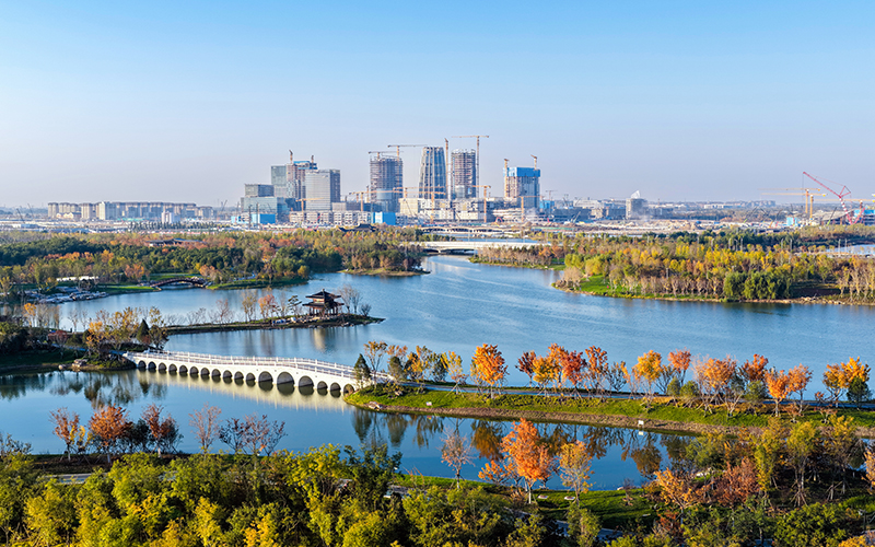 初冬雄安：秀美景色入画来