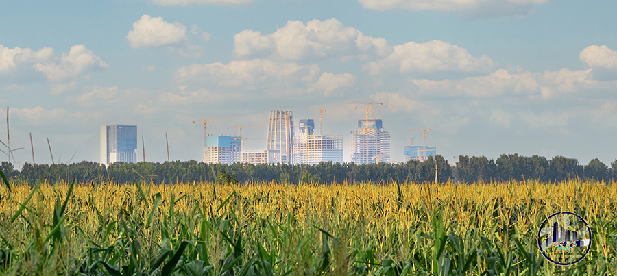 雄安新区启动区。金潇楠摄