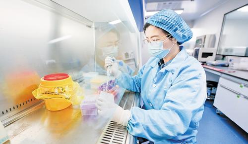 11月21日，在雄安妙心生物科技有限公司基因檢測實驗室內，河北工程大學醫學院檢驗系教授王珍在進行病原微生物核酸提取工作。 本組圖片由本報見習記者李暢攝