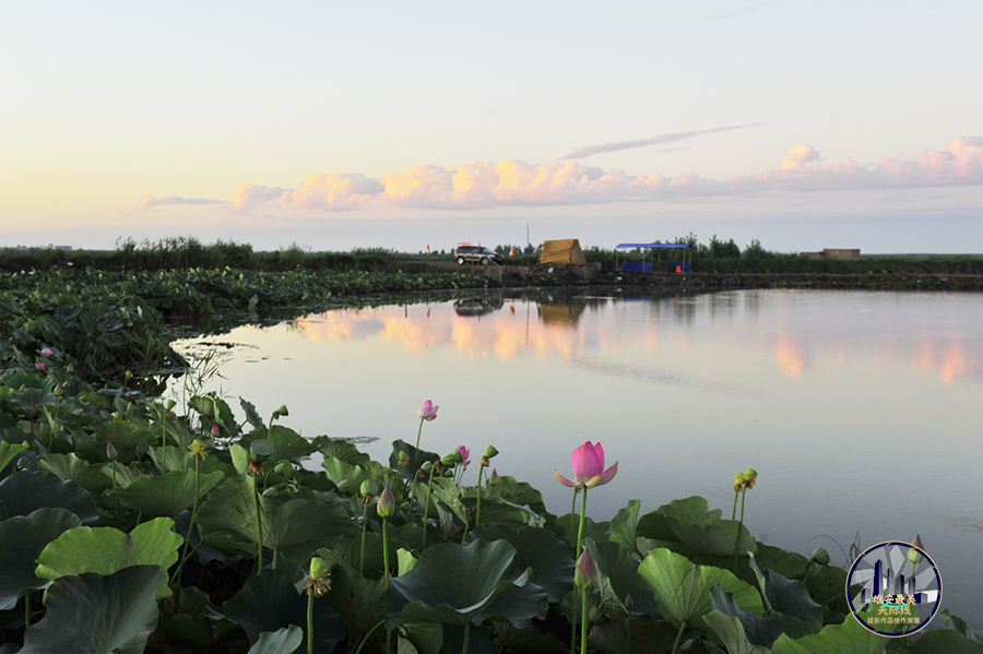 雄安新区雄县杨庄子村。李雷鸣摄