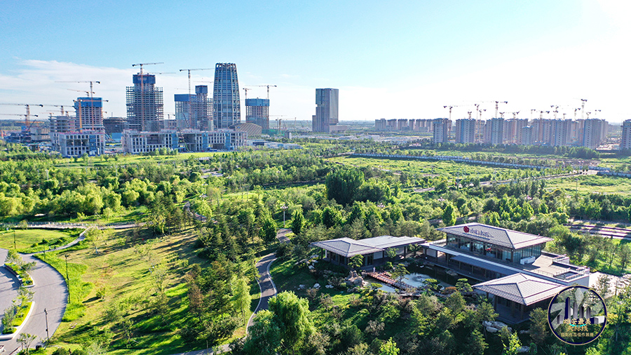 雄安新区启动区。周龙山摄