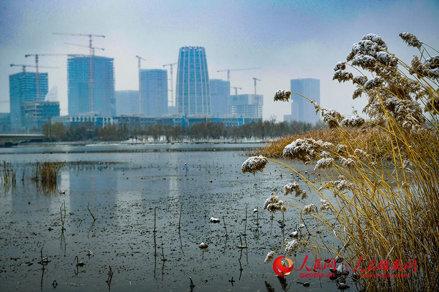1雄安初雪，任双欢