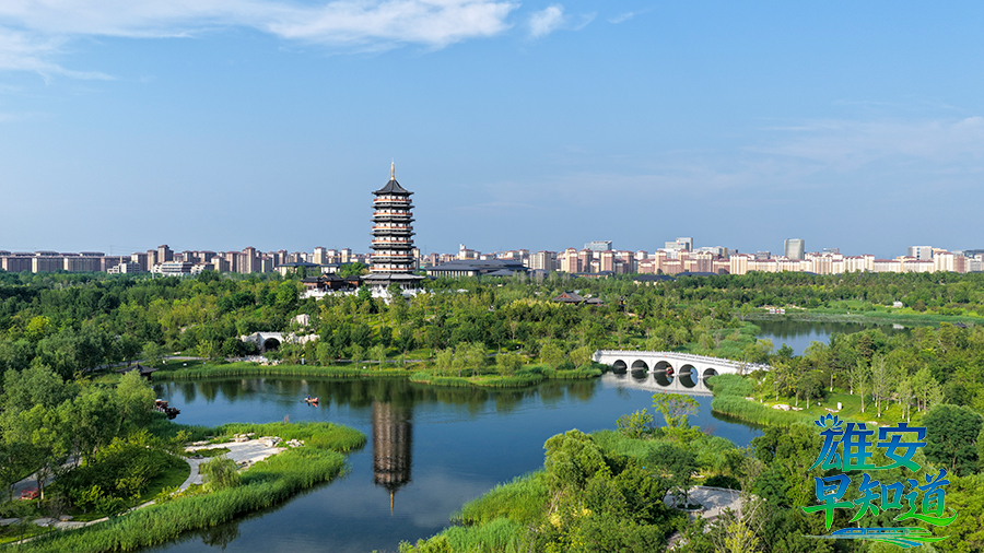 雄安悦容公园。齐鑫摄