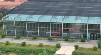 我读人民日报｜“菜篮子”里的政绩观