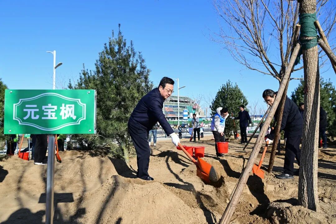 张国华参加雄安新区2026年义务植树活动。王伟倩摄