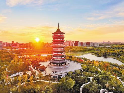 2025年11月24日拍摄的雄安新区悦容公园。（本报资料片）