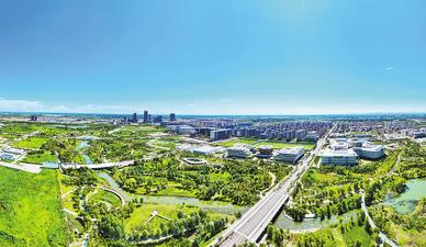 在雄安，续写“春天的故事”