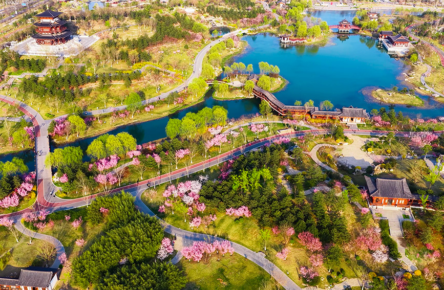 雄安新区春意浓：繁花满城