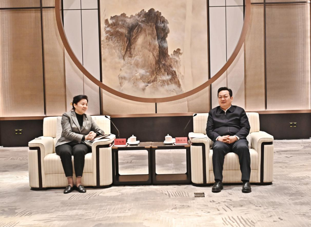 张国华与中国人保集团党委书记、董事长丁向群一行举行工作座谈。刘向阳摄
