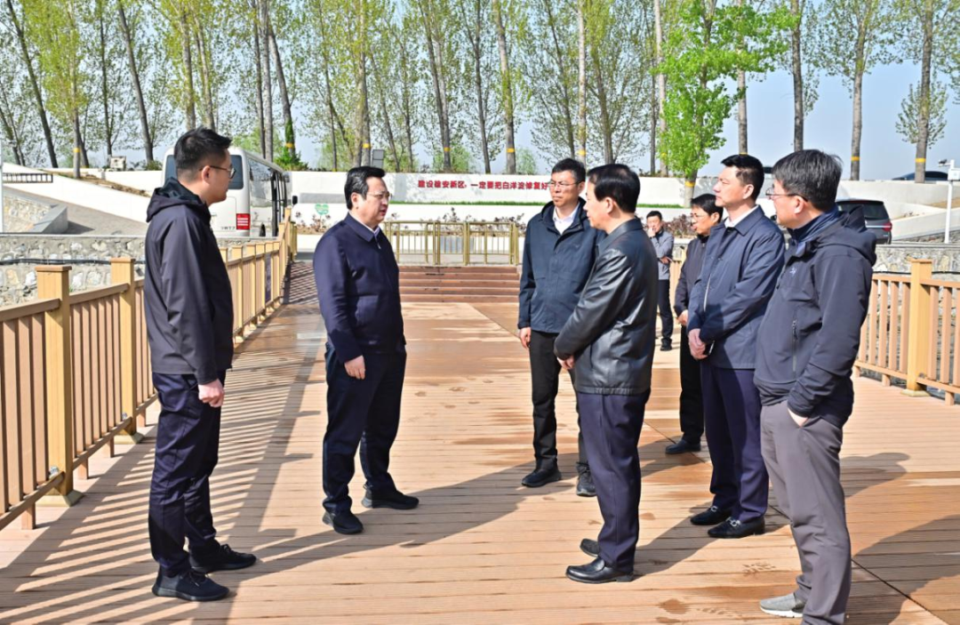 张国华调研白洋淀生态保护、旅游准备工作和重点项目建设运营情况。刘向阳摄