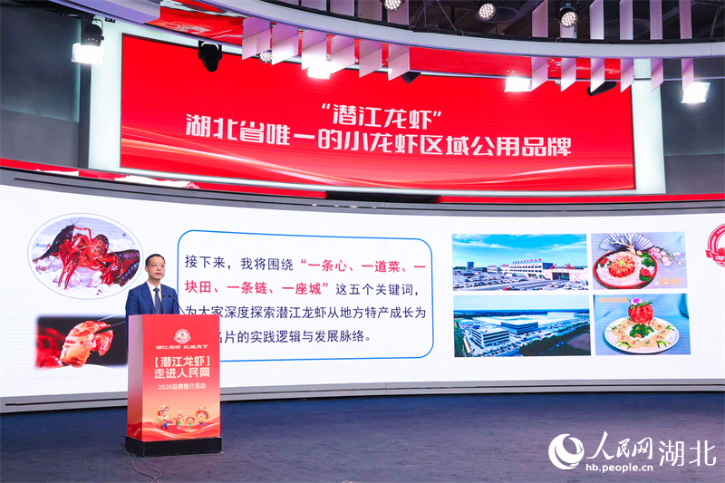 潜江市副市长王冰