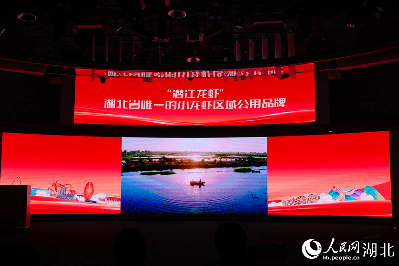 潜江龙虾宣传片正在播放。