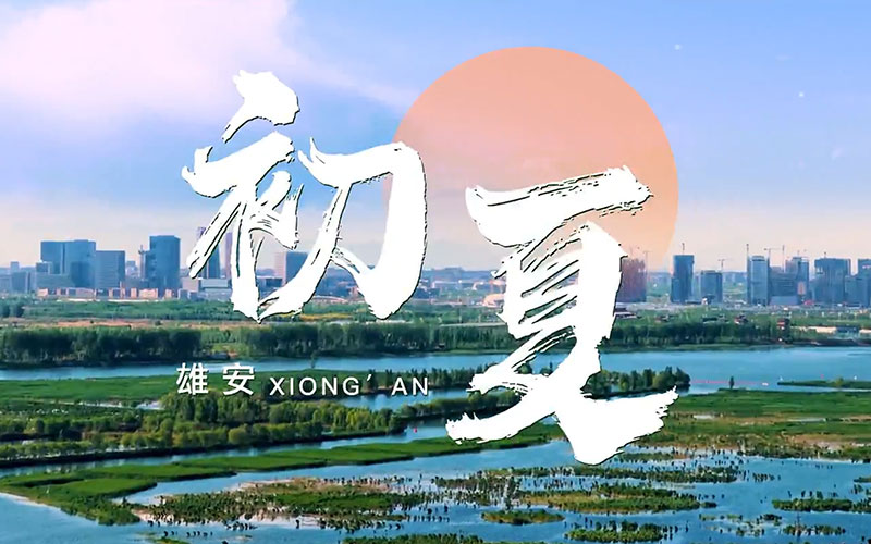 雄安初夏